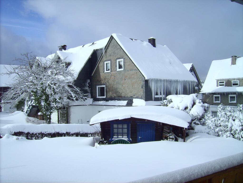 Ferienwohnung Boerner Winterberg Exterior foto